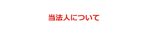 当法人について